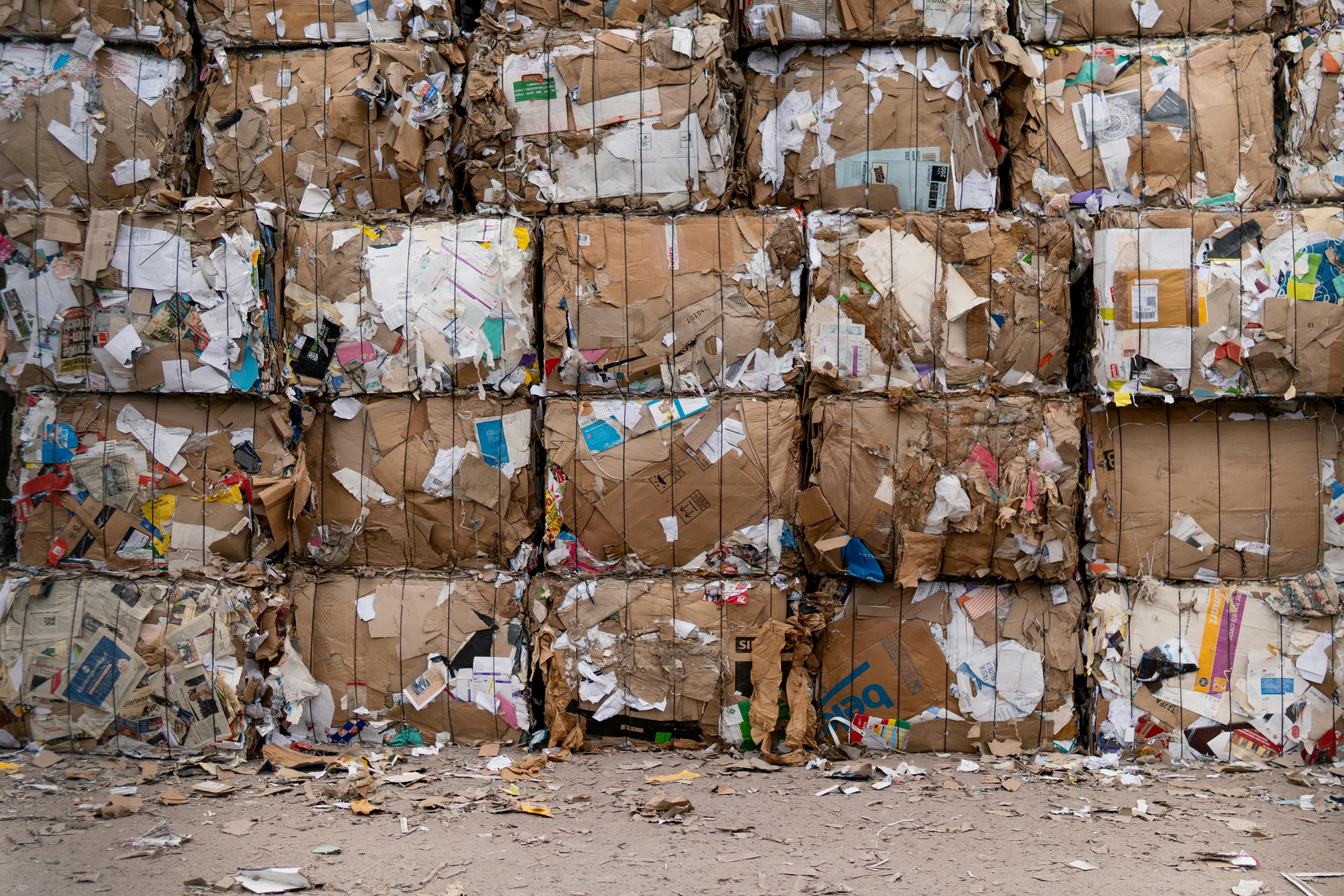 Baled Corrugated Cardboard (OCC 11)